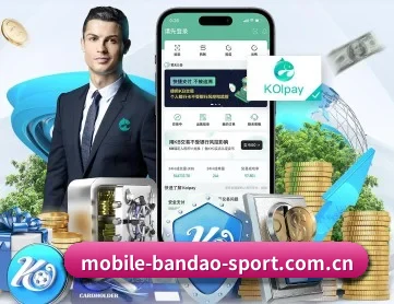 半岛体育 APP 深度功能